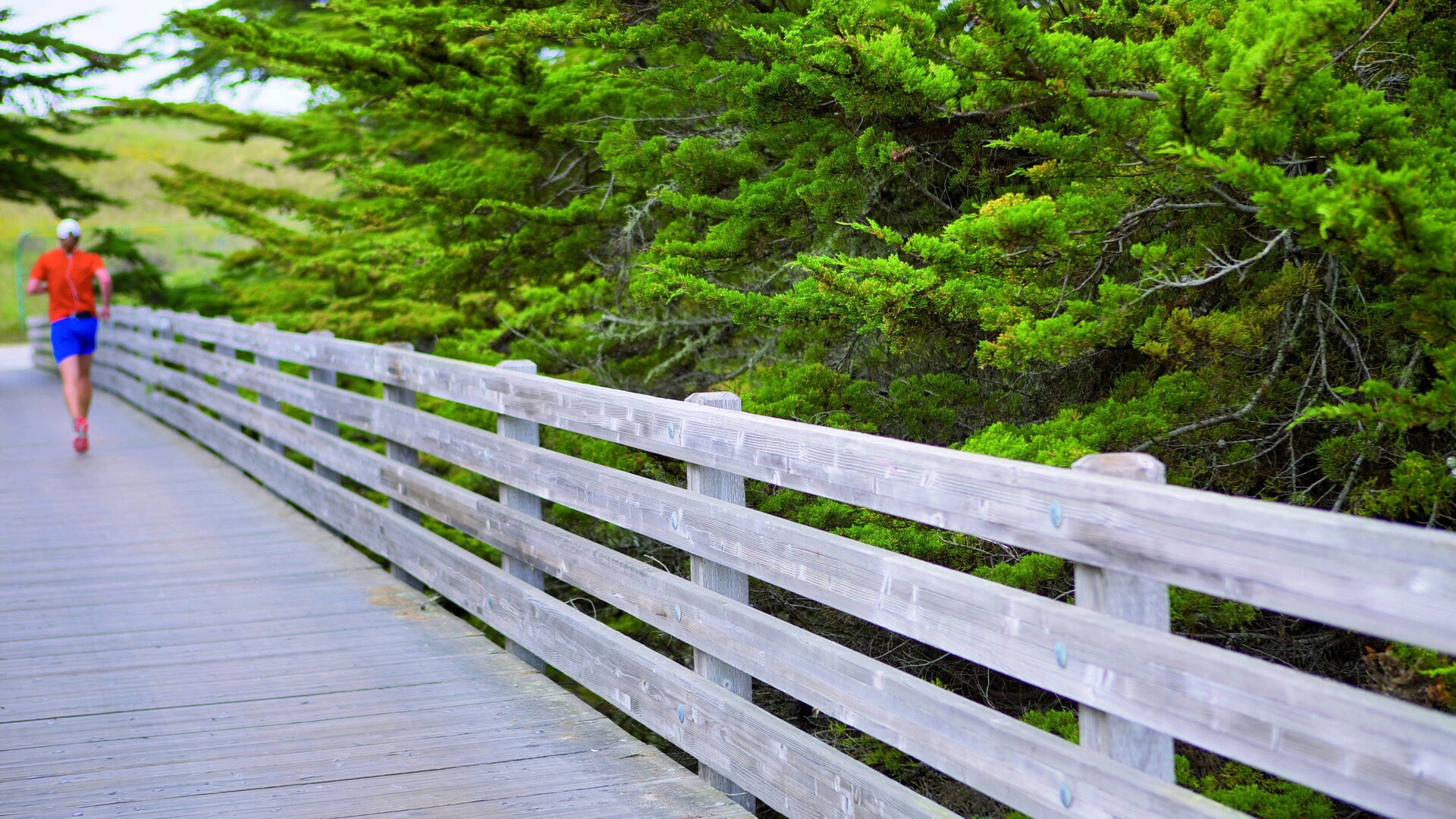 Coastal trail along the cliffs at Half Moon Bay
